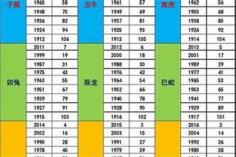 2024年属|2024年属什么生肖